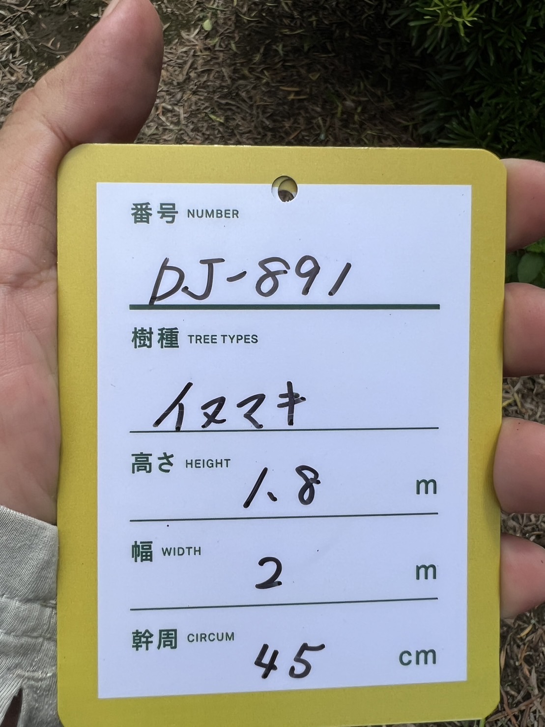 Dashu jp jp Dashu jp jp